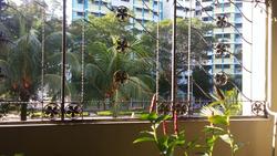 Blk 531 Woodlands Drive 14 (Woodlands), HDB 5 Rooms #134607662
